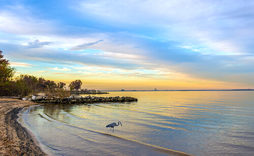 7th State - Maryland Beach