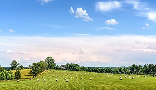 7th State - Maryland Farm land