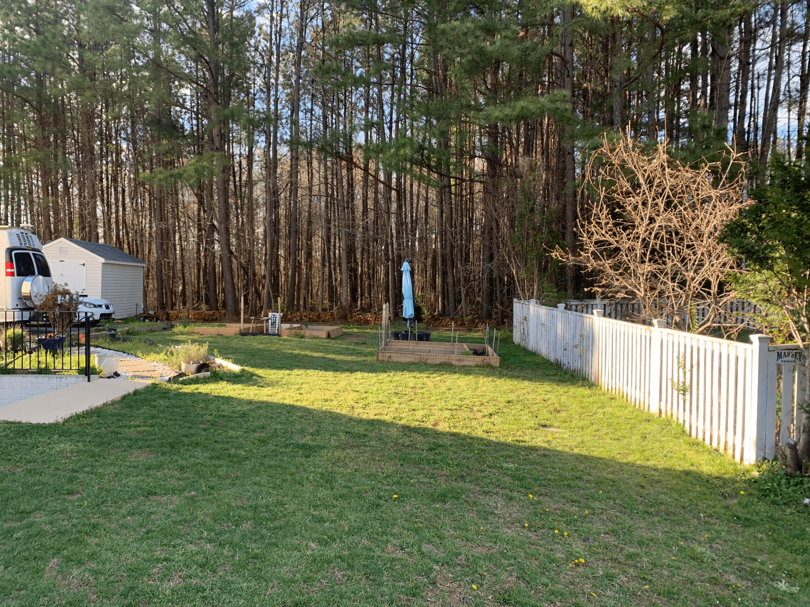 backyard transformation