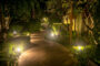 Why Hardscape Lighting is Important to Your Backyard Design